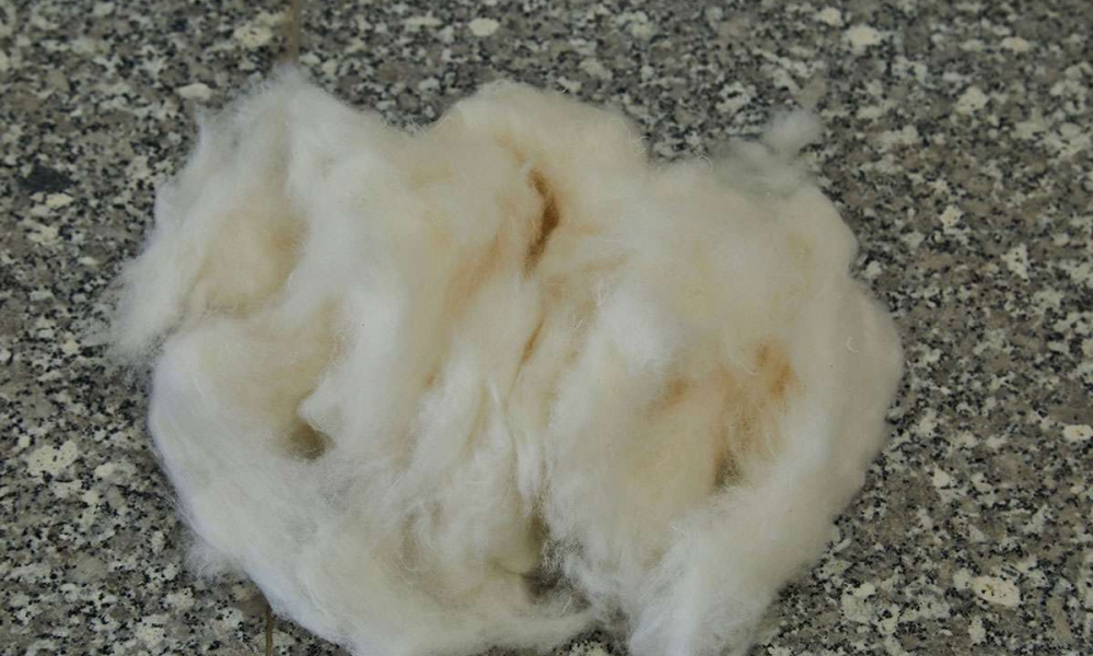 Post Consumer %100 Cotton 